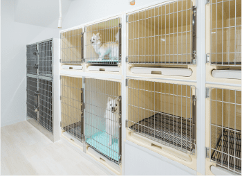 犬入院室