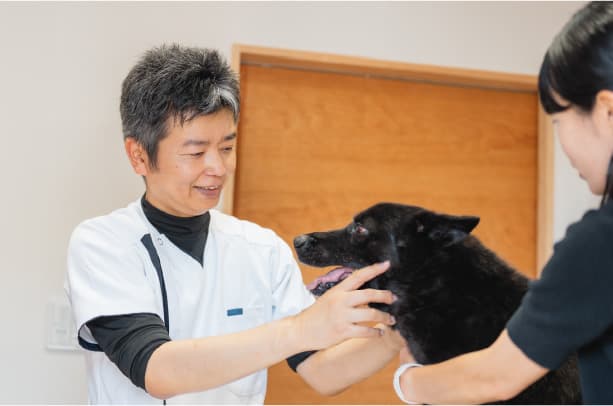 優しい医療