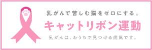 キャットリボン